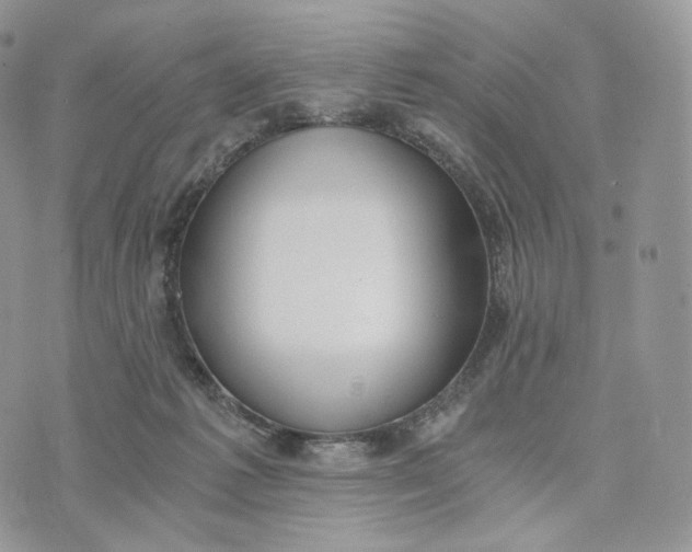 X0000072960221200608111659