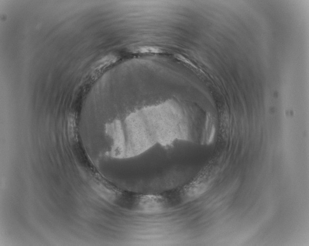 X0000072960222200608111659