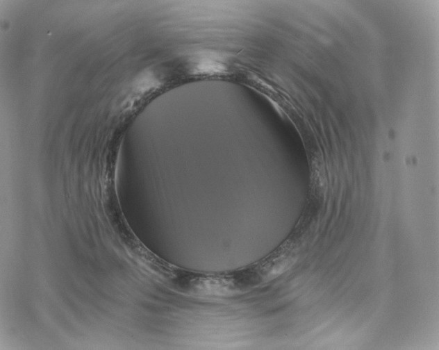 X0000072960223200608111659