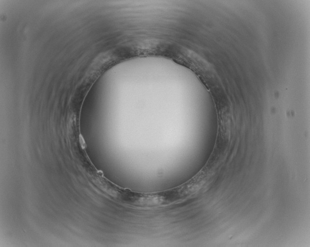 X0000072960225200608111659