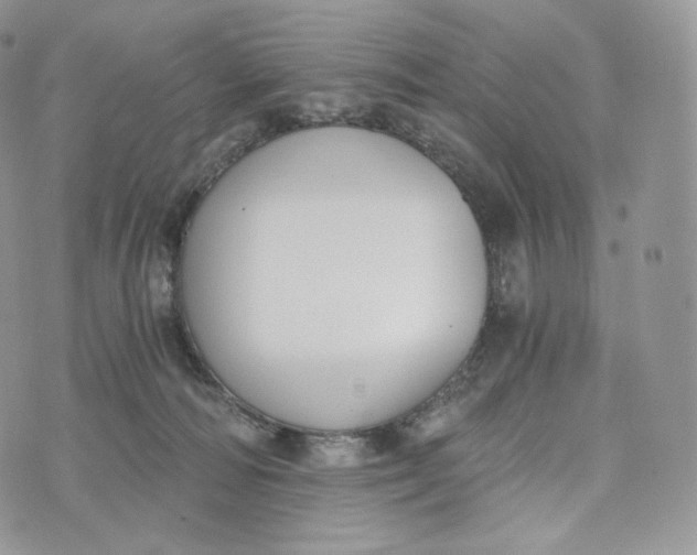 X0000072960226200608111659