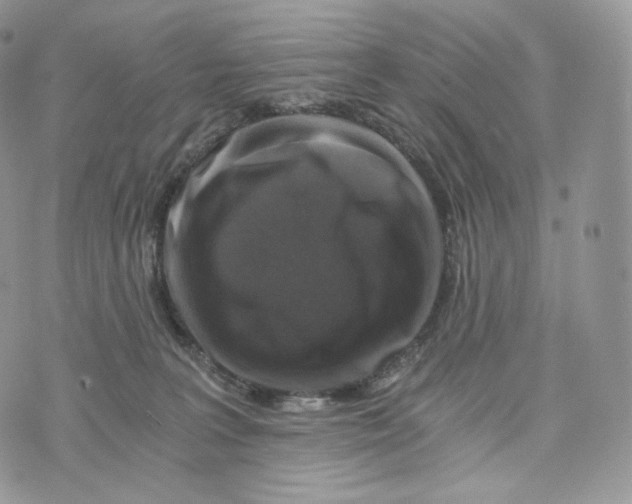 X0000072960227200608111659