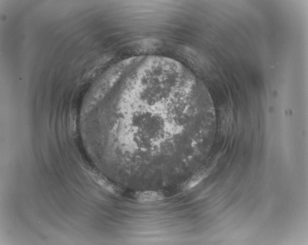 X0000072960230200608111659