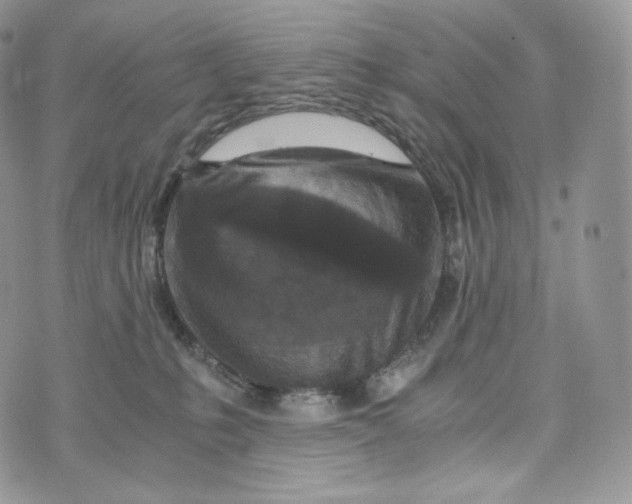 X0000072960231200608111659