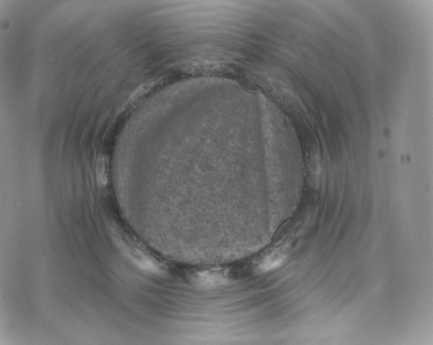 X0000072960232200608111659