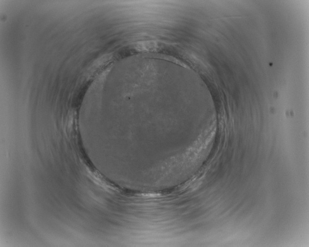 X0000072960233200608111659