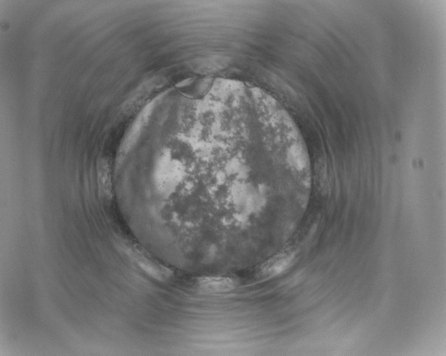 X0000072960234200608111659