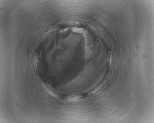 X0000072960235200608111659