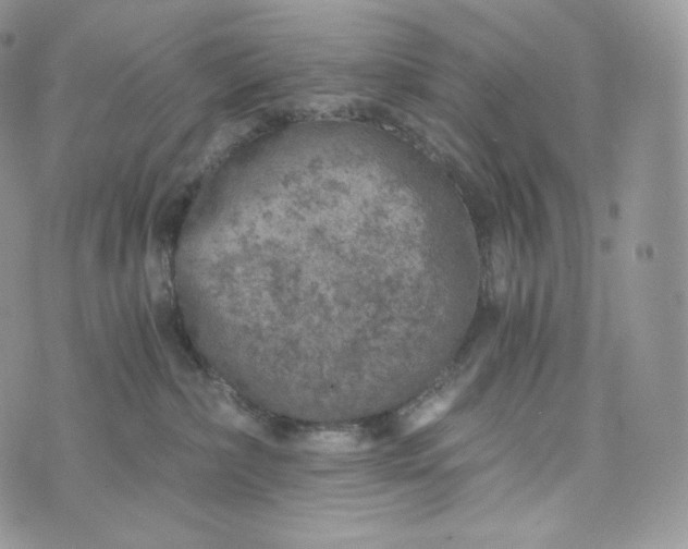 X0000072960236200608111659