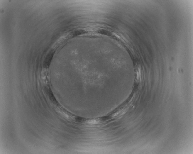 X0000072960237200608111659