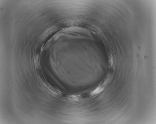 X0000072960239200608111659