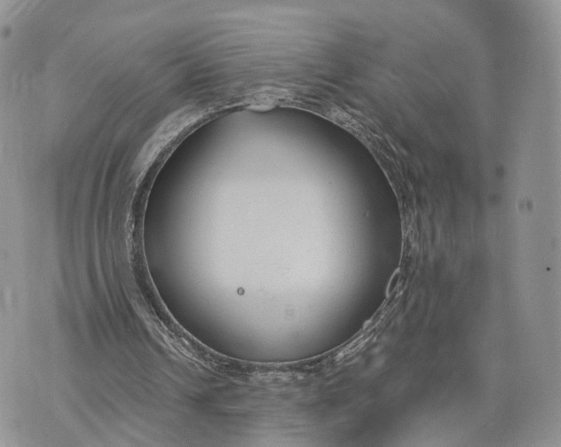 X0000072960242200608111658