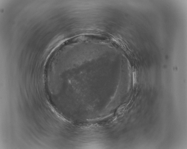 X0000072960243200608111658