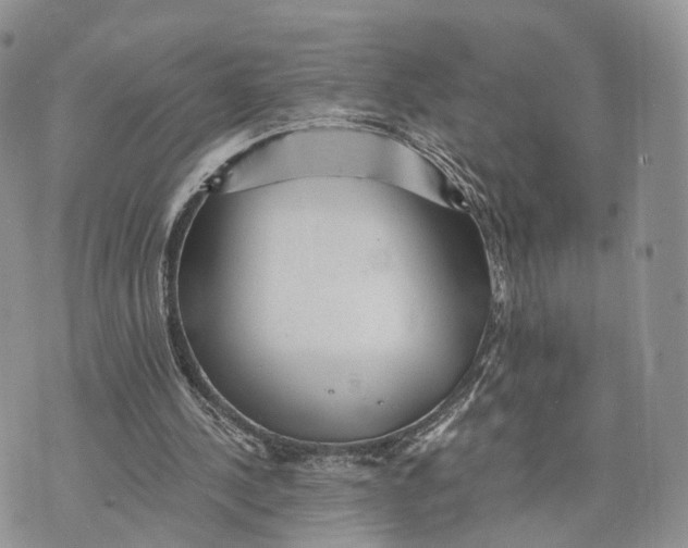 X0000072960244200608111658