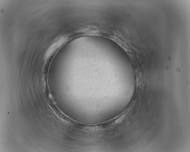 X0000072960245200608111658