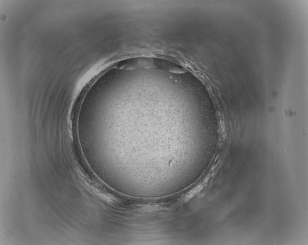 X0000072960246200608111658