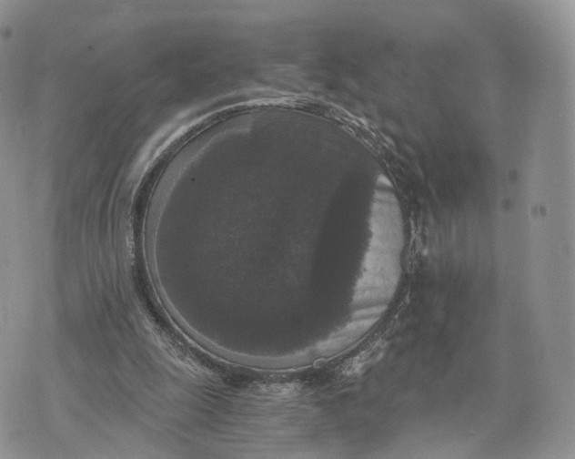 X0000072960247200608111658