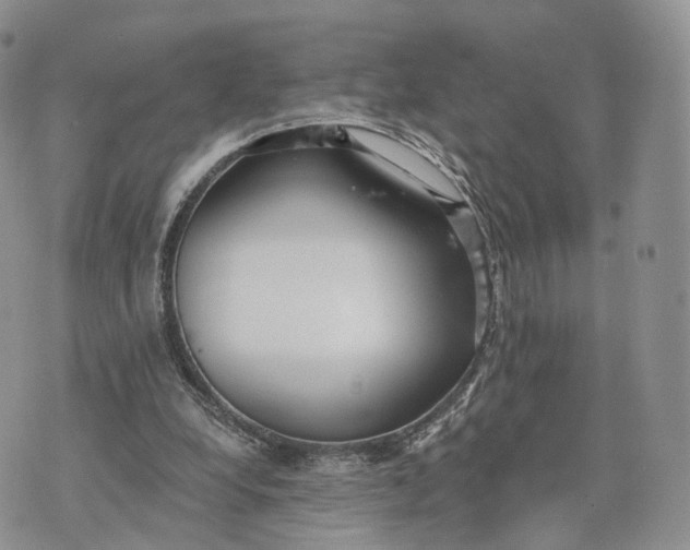 X0000072960248200608111658