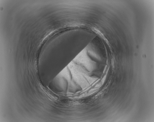 X0000072960249200608111658