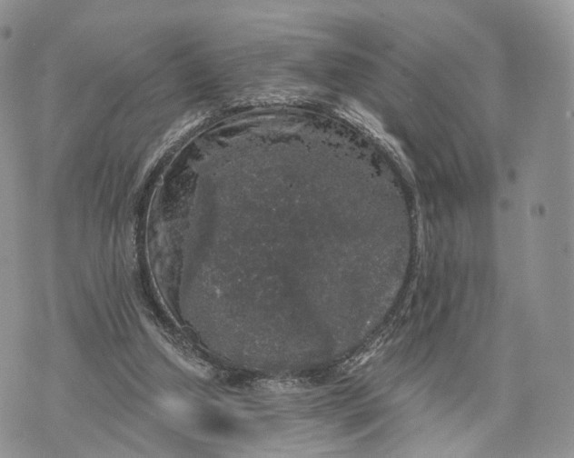 X0000072960250200608111658