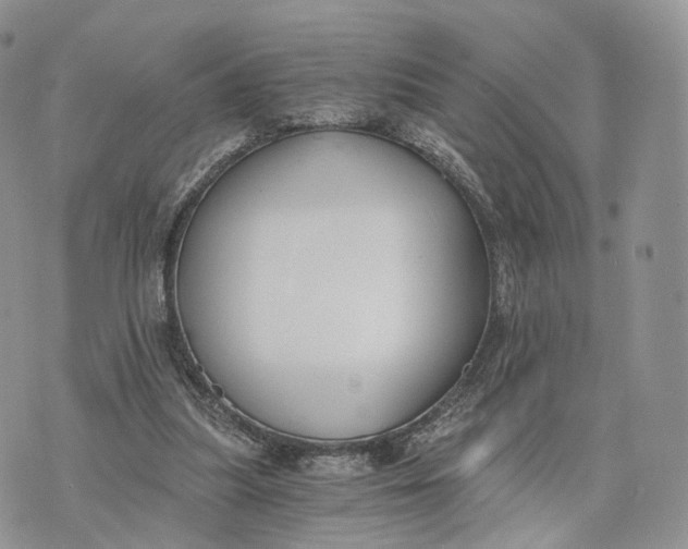 X0000072960251200608111658