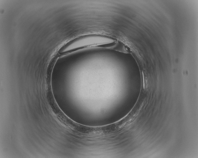 X0000072960252200608111658