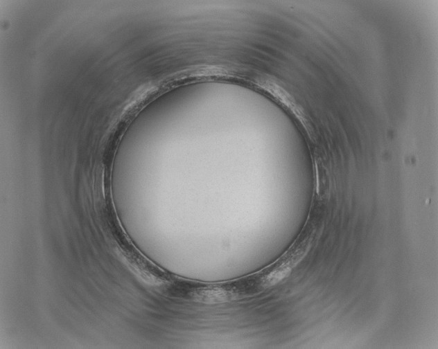 X0000072960253200608111658