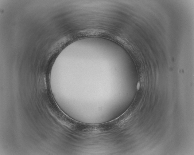 X0000072960254200608111658