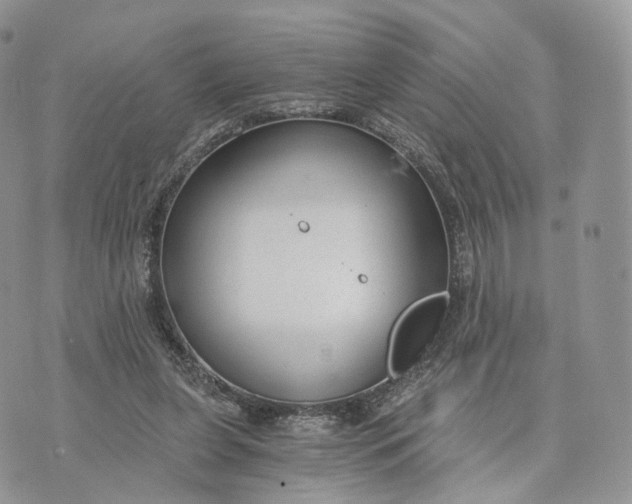 X0000072960255200608111658