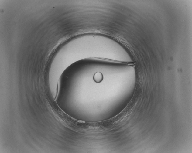 X0000072960256200608111658