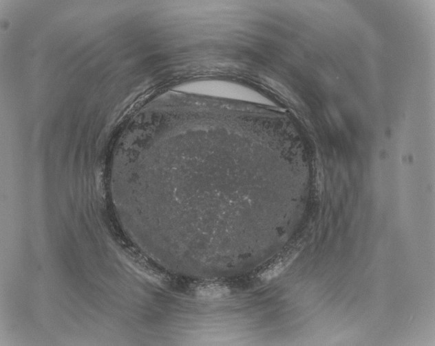 X0000072960258200608111658