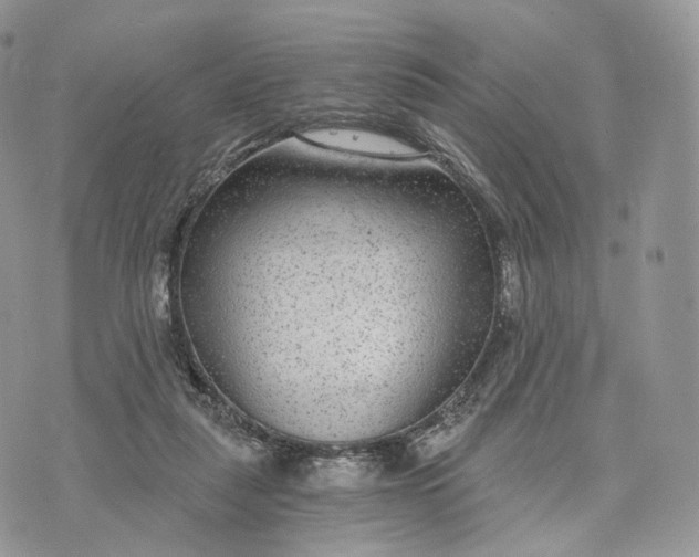 X0000072960259200608111658