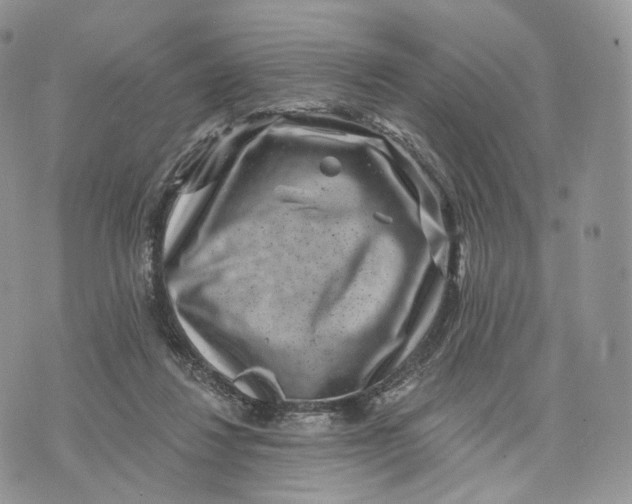 X0000072960260200608111658