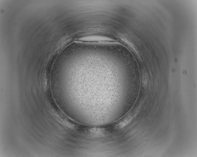 X0000072960261200608111658