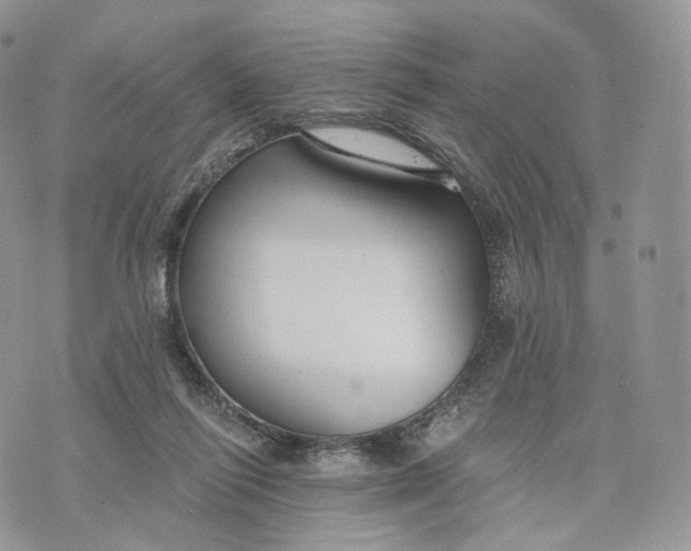 X0000072960262200608111658