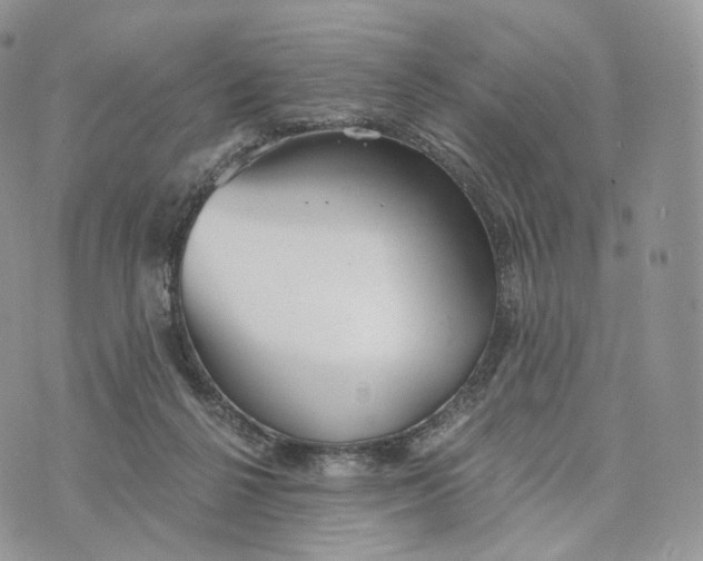 X0000072960264200608111658