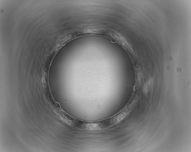 X0000072960265200608111658