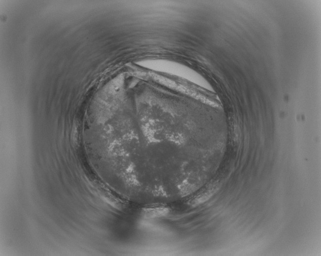 X0000072960266200608111658