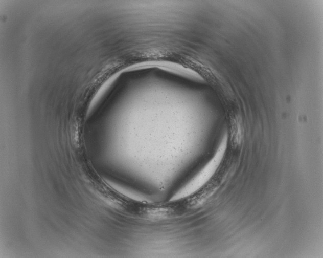 X0000072960268200608111658