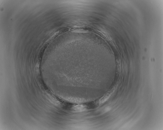 X0000072960269200608111658