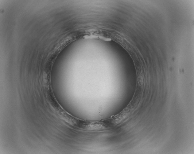 X0000072960270200608111658