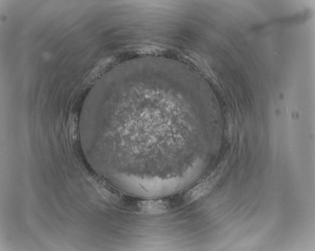 X0000072960273200608111658