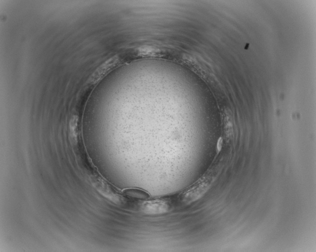 X0000072960275200608111658