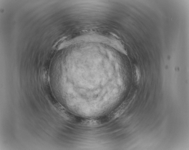 X0000072960276200608111658