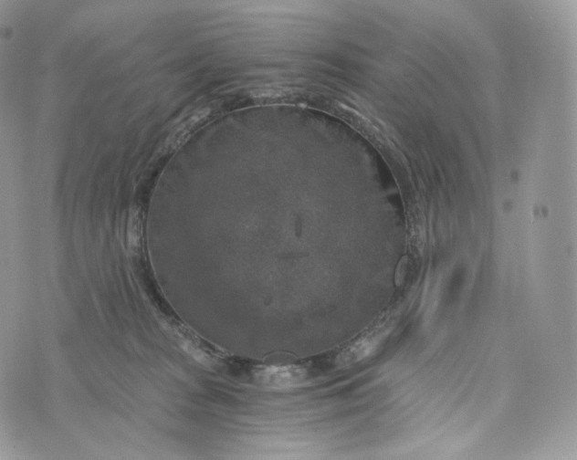 X0000072960277200608111658