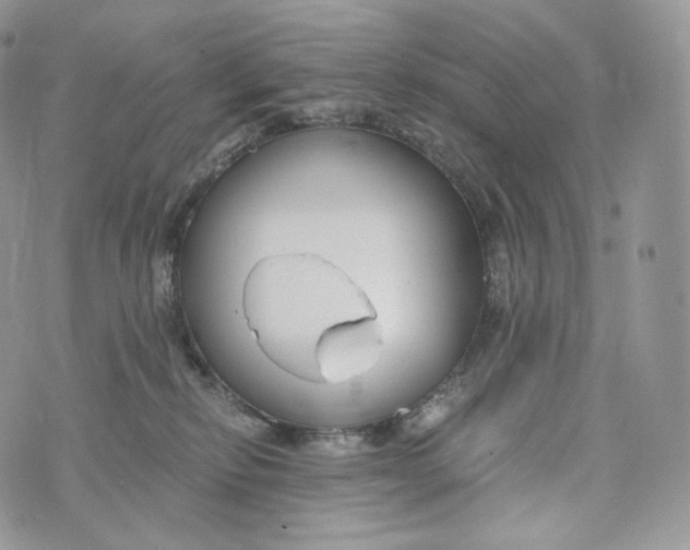 X0000072960278200608111658