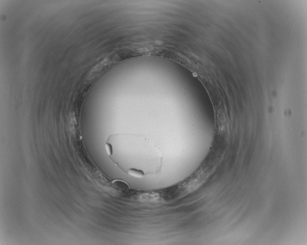 X0000072960279200608111658