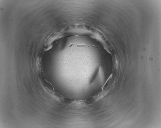 X0000072960280200608111658