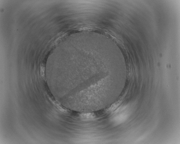 X0000072960281200608111658