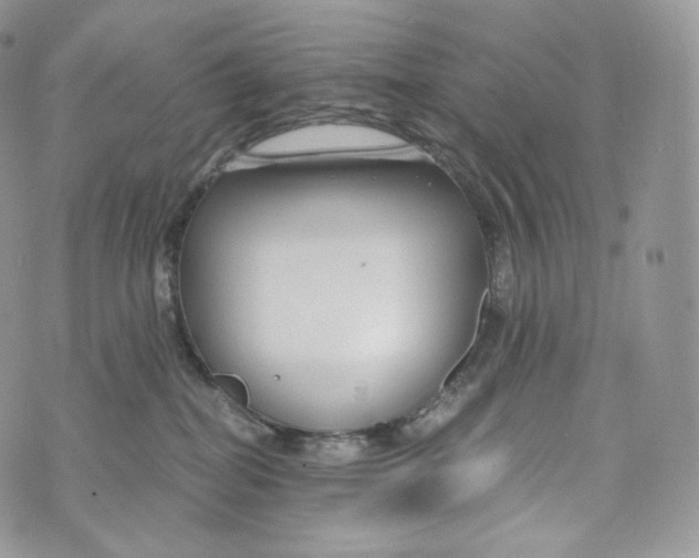 X0000072960282200608111658